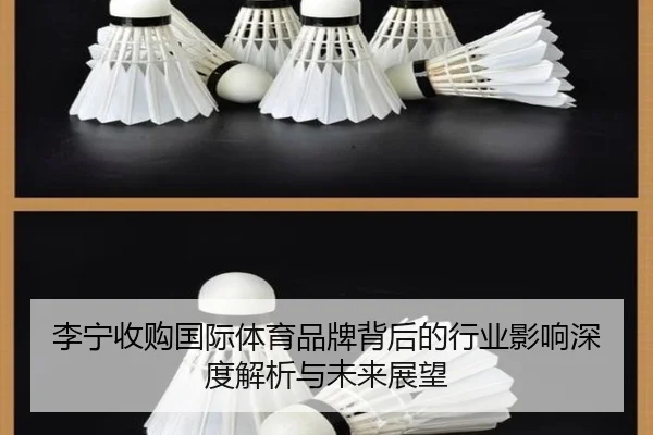 李宁收购国际体育品牌背后的行业影响深度解析与未来展望